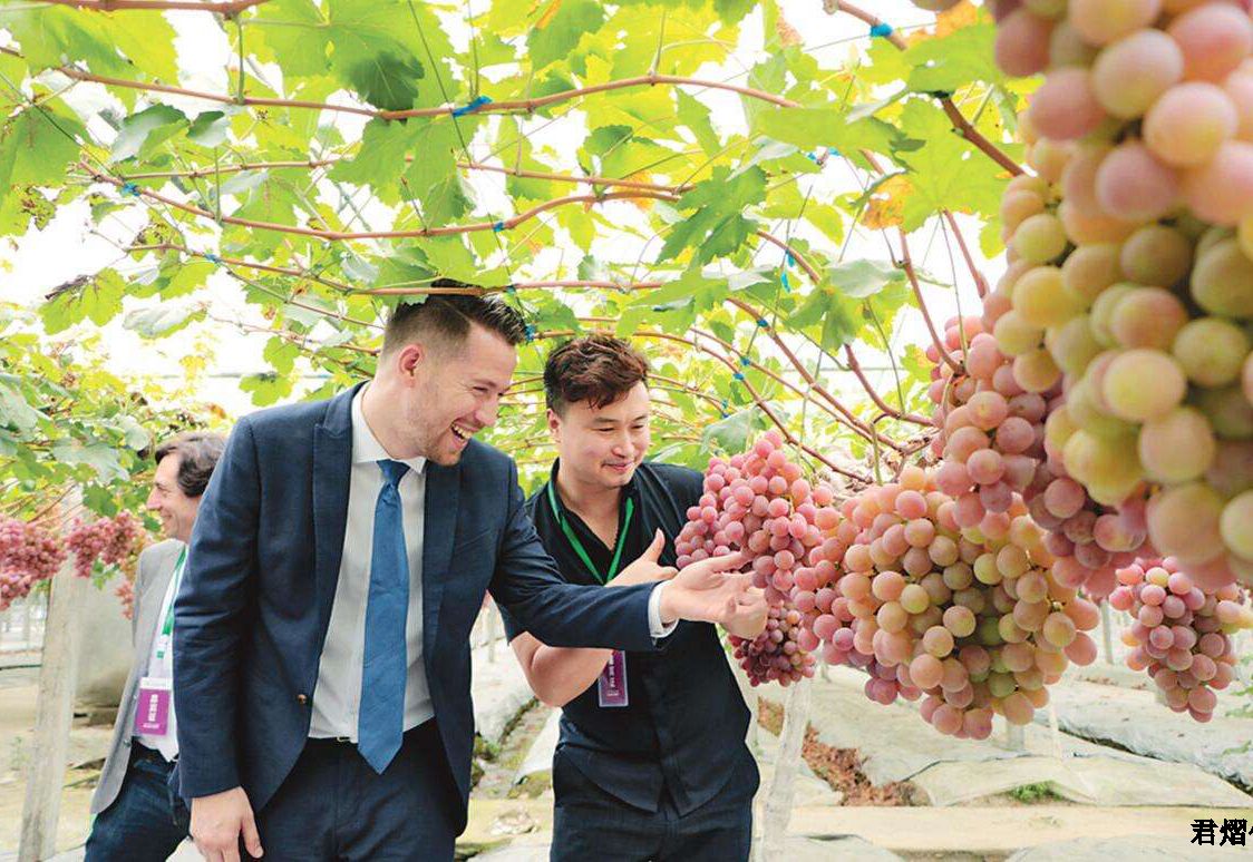 �G��ζ���ھŌ����`�������ѹ�(ji��)�߶�ʮ�Č�ȫ�����Ѯa�IՓ���_Ļʽ